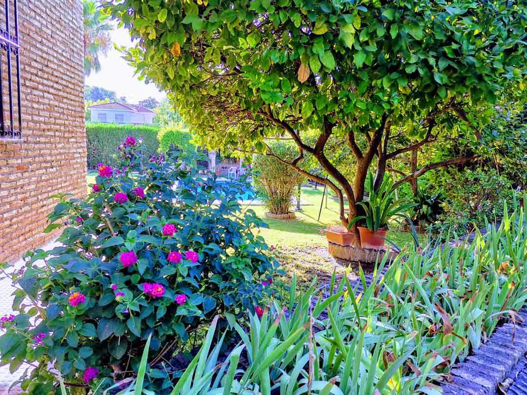 diseño exteriores y jardines plantarmadrid