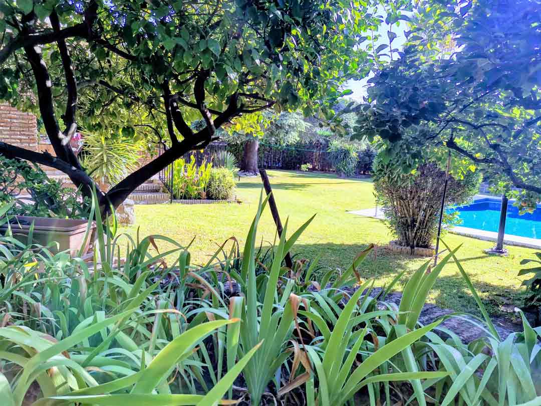 diseño jardines plantar madrid