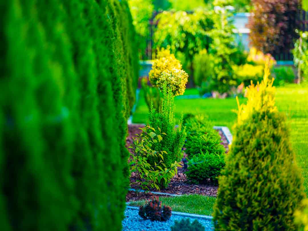 diseño jardines plantarmadrid