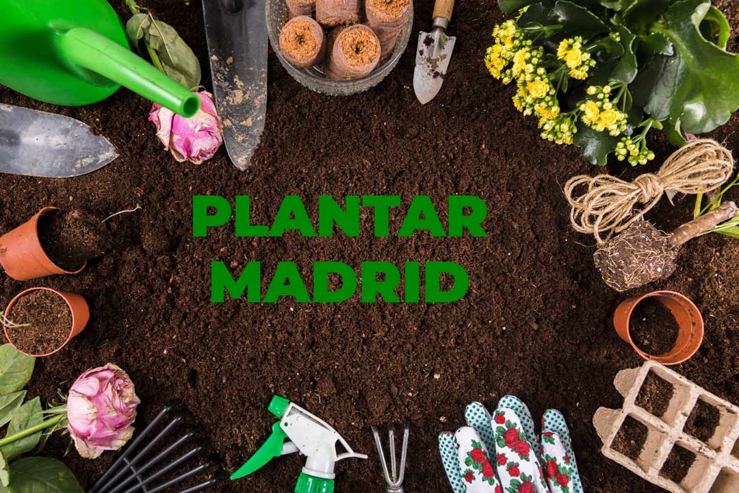 plantar madrid servicios de jardineria y paisajismo